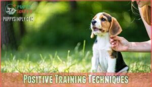 positive training techniques