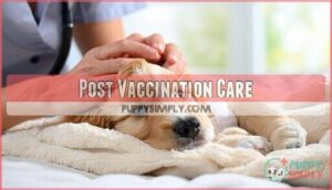 post vaccination care