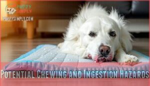 potential chewing and ingestion hazards