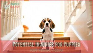 potential injuries for puppies