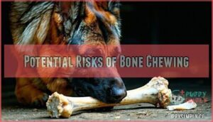 potential risks of bone chewing
