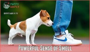 powerful sense of smell