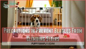 precautions to prevent beagles from climbing stairs