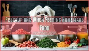 precautions when feeding homemade food