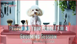 preparing your poodle for a grooming session