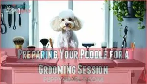 preparing your poodle for a grooming session