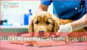 preventing and managing elbow dysplasia