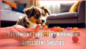 preventing persistent nipping in adolescent shelties