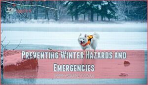 preventing winter hazards and emergencies