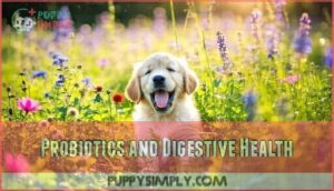 probiotics and digestive health