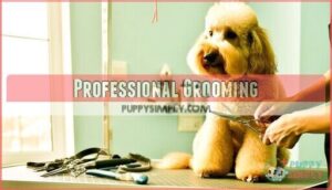 professional grooming
