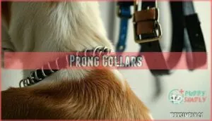 prong collars