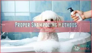 proper shampooing methods