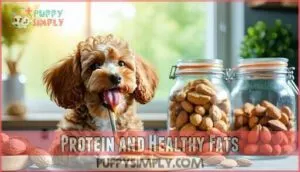 protein and healthy fats