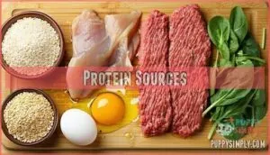 protein sources protein sources