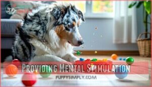 providing mental stimulation
