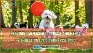 providing sufficient exercise and mental stimulation for bichon frise dogs