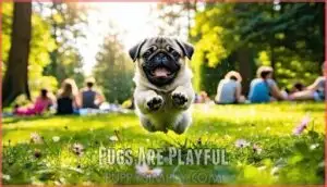 pugs are playful