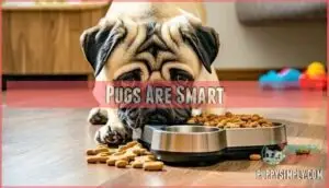 pugs are smart pugs are smart