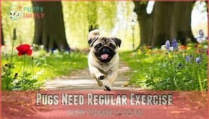 pugs need regular exercise