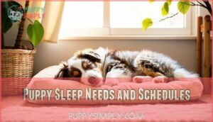 puppy sleep needs and schedules