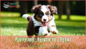 puppyhood (birth to 1 year)