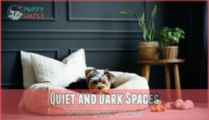 quiet and dark spaces