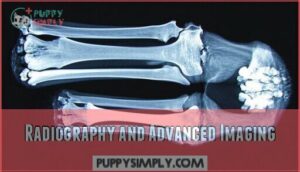 radiography and advanced imaging