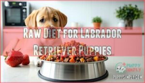 raw diet for labrador retriever puppies