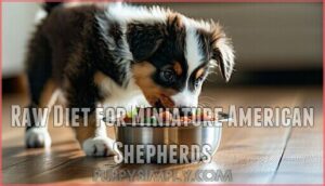 raw diet for miniature american shepherds