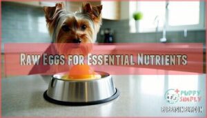 raw eggs for essential nutrients