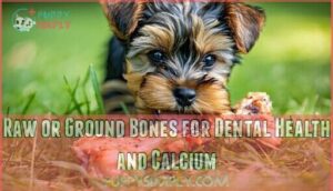 raw or ground bones for dental health and calcium