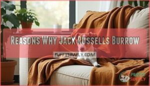 reasons why jack russells burrow