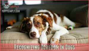 recognizing boredom in dogs