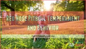 red nose pitbull temperament and behavior