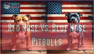 red nose vs. blue nose pitbulls
