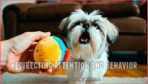 redirecting attention and behavior