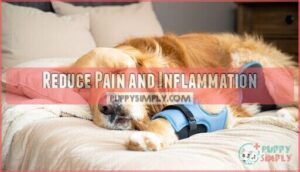 reduce pain and inflammation