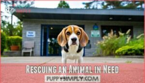 rescuing an animal in need