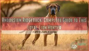 rhodesian ridgeback