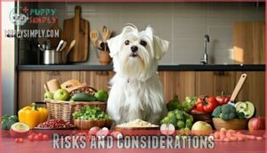risks and considerations