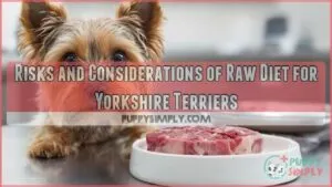 risks and considerations of raw diet for yorkshire terriers