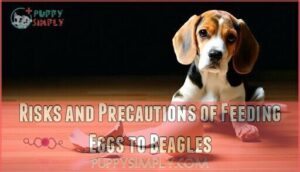 risks and precautions of feeding eggs to beagles