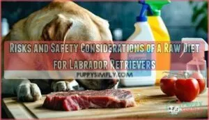 risks and safety considerations of a raw diet for labrador retrievers risks and safety considerations of a raw diet for labrador retrievers