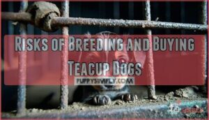 risks of breeding and buying teacup dogs
