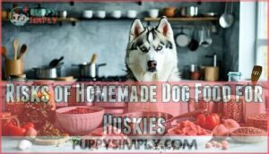 risks of homemade dog food for huskies