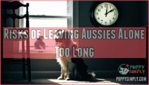 risks of leaving aussies alone too long