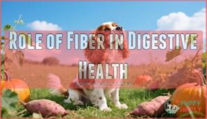 role of fiber in digestive health