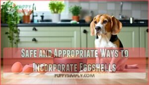 safe and appropriate ways to incorporate eggshells