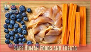 safe human foods and treats